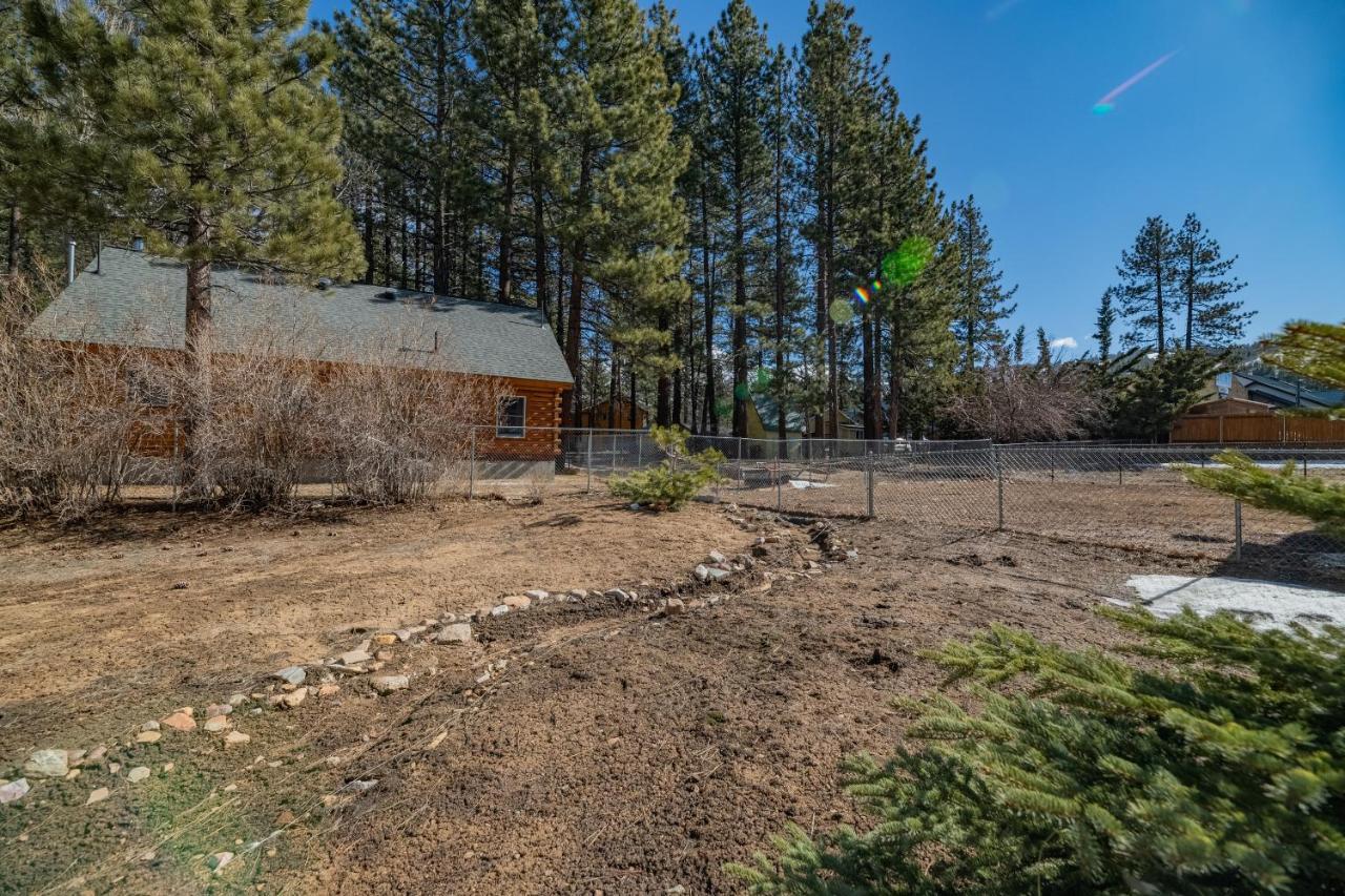 Quiz Cottage - Lovely Mountain Cottage Conveniently Located Close To The Lake And The Village! Big Bear Lake Exterior photo